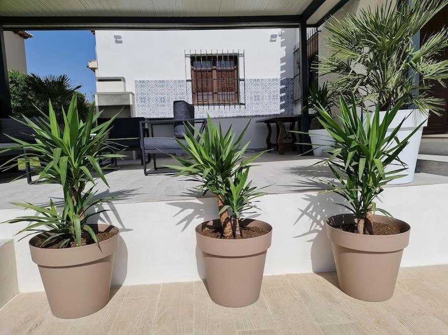 Villa On The Beach Playa Flamenca Орихуела Екстериор снимка